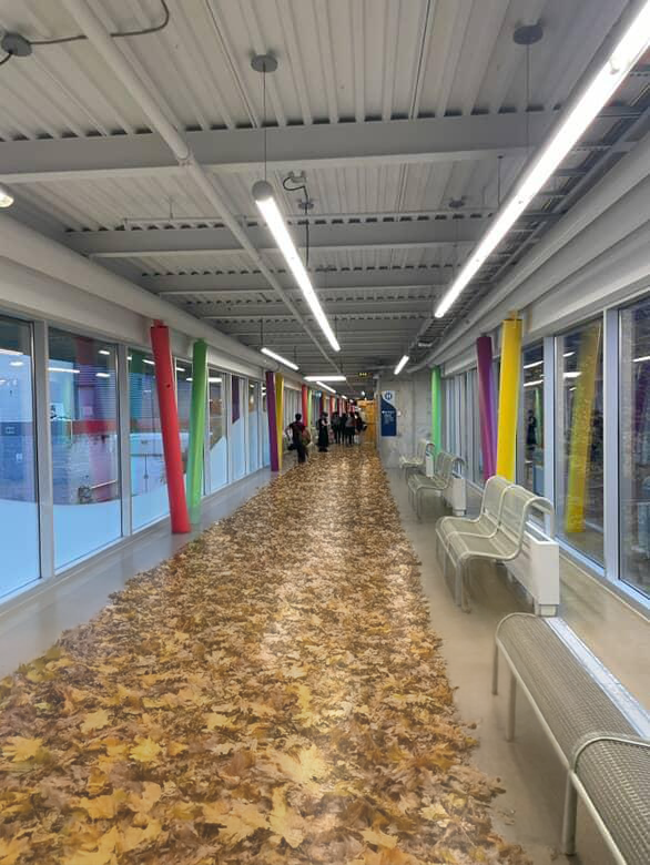 #2 Leaves Projection